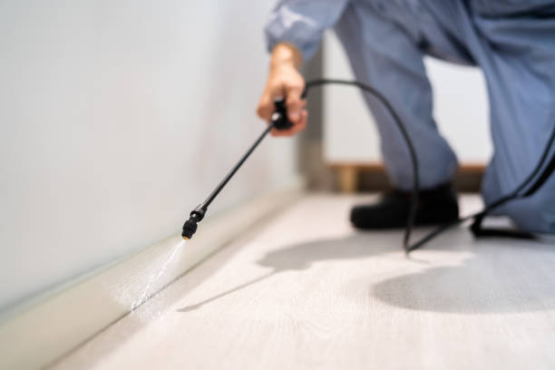 Licensed Pest Control service in Upper Sandusky, OH - Show Me Pest Control